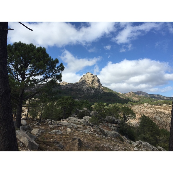 รูปถ่าย ฝรั่งเศส(France) คอร์สิคา(Corsica) ป่าลอสเปดาเล(L'ospedale Forest) 2017-09 6