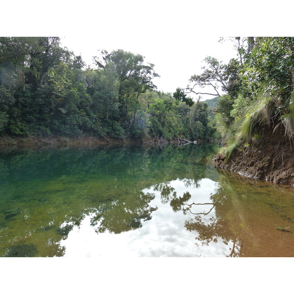 รูปถ่าย นิวแคลิโดเนีย(New Caledonia) อุทยานริเวียร์เบลอ(Parc de la Riviere Bleue) 2010-05 160