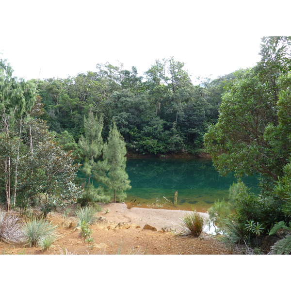 รูปถ่าย นิวแคลิโดเนีย(New Caledonia) อุทยานริเวียร์เบลอ(Parc de la Riviere Bleue) 2010-05 154