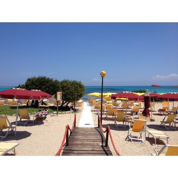 รูปถ่าย อิตาลี(Italy) ซาร์ดิเนีย(Sardinia) แหลมกาโปเดลฟัลโกเน(Capo del Falcone) 2015-06 3