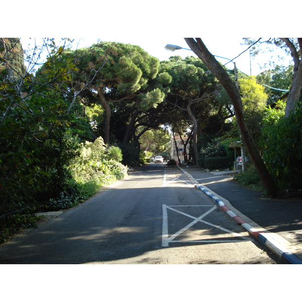 รูปถ่าย อิสราเอล(Israel) ไฮฟา(Haifa) คาร์เมล(Carmel) 2006-12 24