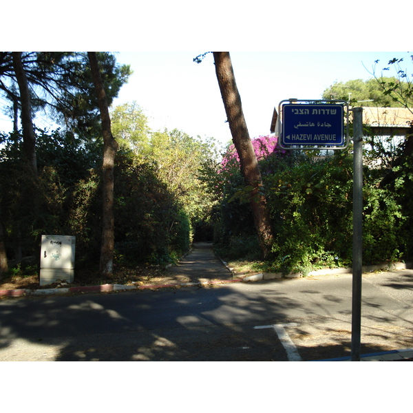 รูปถ่าย อิสราเอล(Israel) ไฮฟา(Haifa) คาร์เมล(Carmel) 2006-12 29