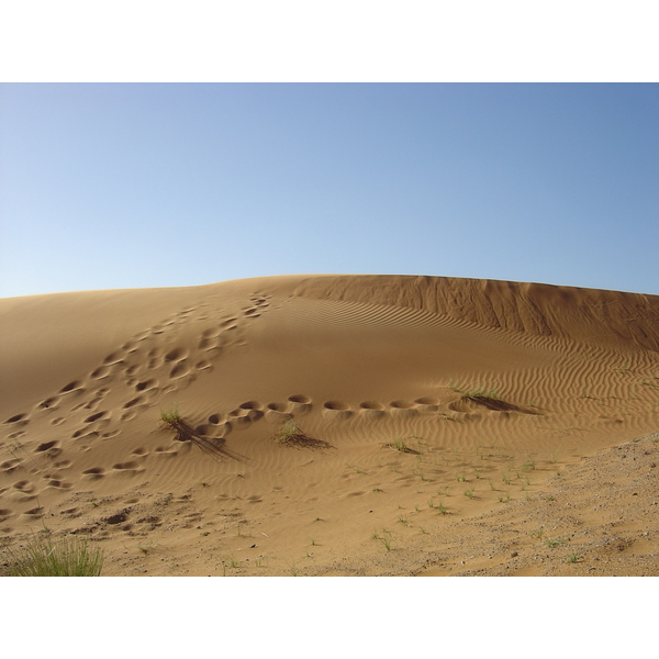 รูปถ่าย สหรัฐอาหรับเอมิเรตส์(United Arab Emirates) จากดูไบไปถนนอัลอิน(Dubai to Al Ain road) 2005-03 37