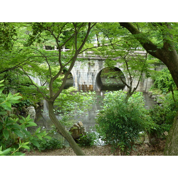รูปถ่าย ญี่ปุ่น(Japan) เกียวโต(Kyoto) 2010-06 20