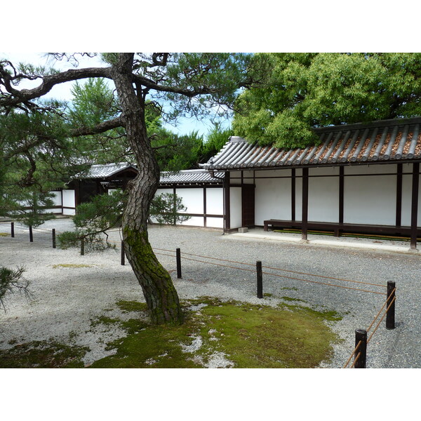 รูปถ่าย ญี่ปุ่น(Japan) เกียวโต(Kyoto) วัดนิชิฮงกันจิ(Nishi Honganji Temple) 2010-06 7