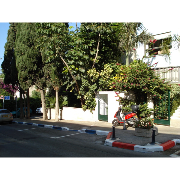 รูปถ่าย อิสราเอล(Israel) ไฮฟา(Haifa) คาร์เมล(Carmel) 2006-12 36