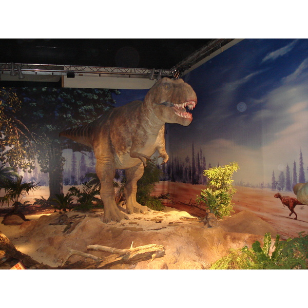 รูปถ่าย ฝรั่งเศส(France) ปารีส(Paris) ปาเลเดอลาเดกูแวร์ต(Palace of Discovery) 2006-04 53