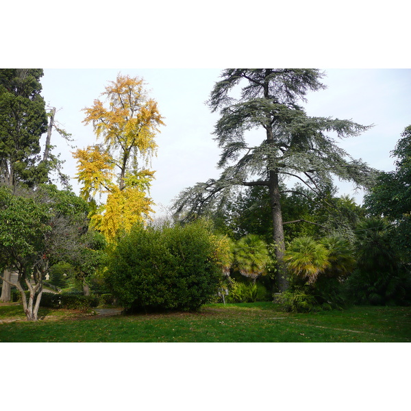 รูปถ่าย อิตาลี(Italy) โรม(Rome) วิลลาชาร์รา(Villa Sciarra) 2007-11 53