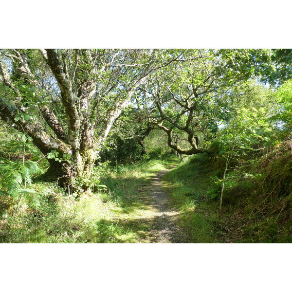รูปถ่าย อังกฤษ(United Kingdom) สกอตแลนด์(Scotland) เซเลน(Salen) 2011-07 75