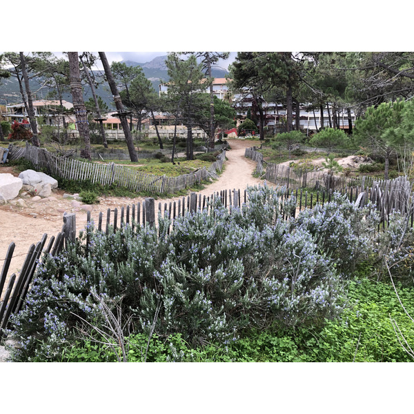 รูปถ่าย ฝรั่งเศส(France) คอร์สิคา(Corsica) คาลวี(Calvi) 2020-10 14