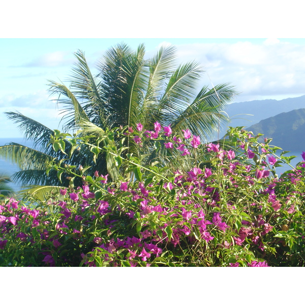 รูปถ่าย เฟรนช์โพลี่นีเซีย(Polynesia) หมู่เกาะมาร์เคซัส(Marquises) 2006-04 22
