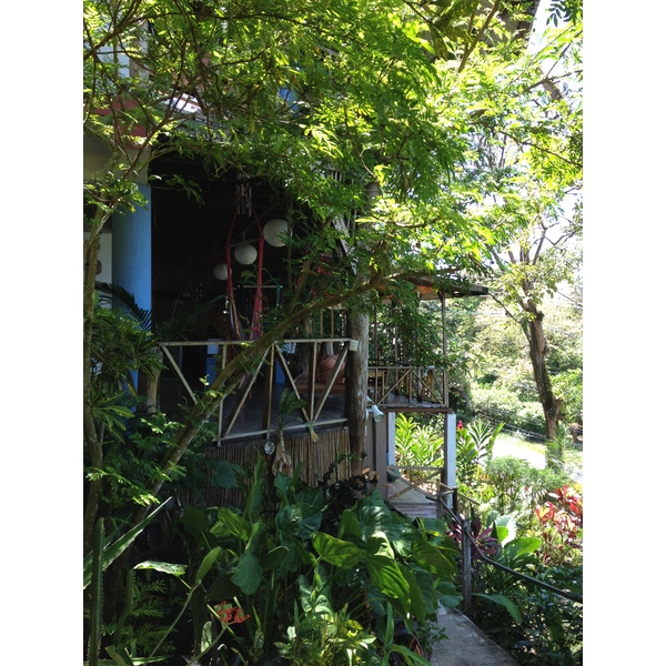 รูปถ่าย คอสตาริกา(Costa Rica) 2015-03 18