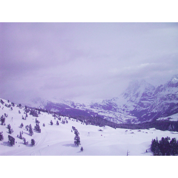 รูปถ่าย สวิสเซอร์แลนด์(Switzerland) กรินเดลวัลด์(Grindelwald) 1999-04 13