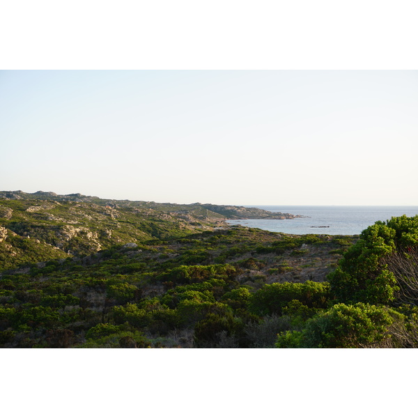 รูปถ่าย ฝรั่งเศส(France) คอร์สิคา(Corsica) หาดตอนนารา(Tonnara Beach) 2017-07 20
