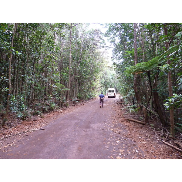 รูปถ่าย นิวแคลิโดเนีย(New Caledonia) อุทยานริเวียร์เบลอ(Parc de la Riviere Bleue) 2010-05 1