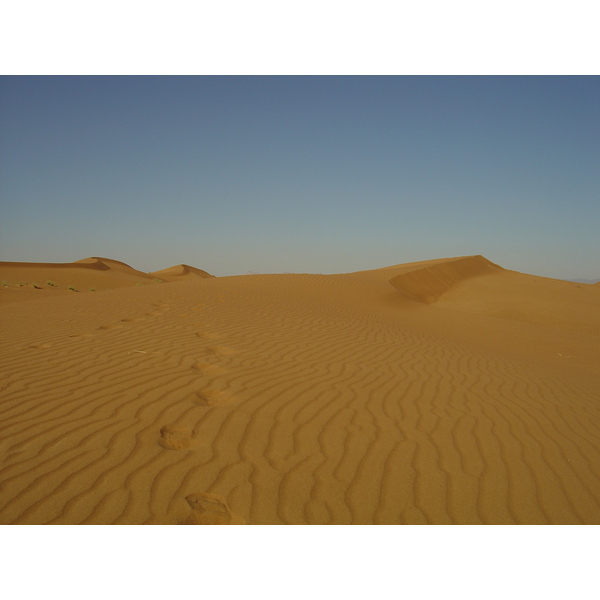 รูปถ่าย สหรัฐอาหรับเอมิเรตส์(United Arab Emirates) จากดูไบไปถนนอัลอิน(Dubai to Al Ain road) 2005-03 61