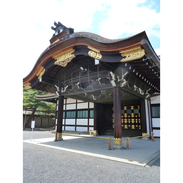 รูปถ่าย ญี่ปุ่น(Japan) เกียวโต(Kyoto) พระราชวังหลวงเกียวโต(Kyoto Imperial Palace) 2010-06 13