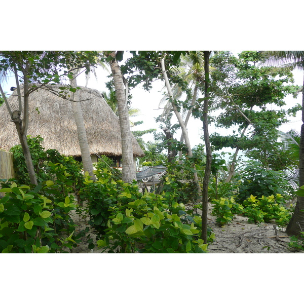 รูปถ่าย ฟิจิ(Fiji) เกาะบีชโคมเบอร์(Beachcomber Island) 2010-05 33