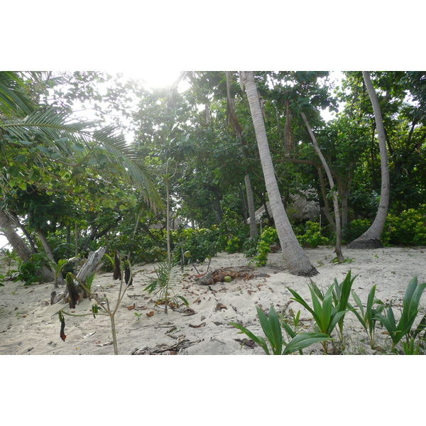 รูปถ่าย ฟิจิ(Fiji) เกาะบีชโคมเบอร์(Beachcomber Island) 2010-05 24