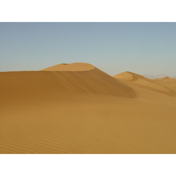 รูปถ่าย สหรัฐอาหรับเอมิเรตส์(United Arab Emirates) จากดูไบไปถนนอัลอิน(Dubai to Al Ain road) 2005-03 44