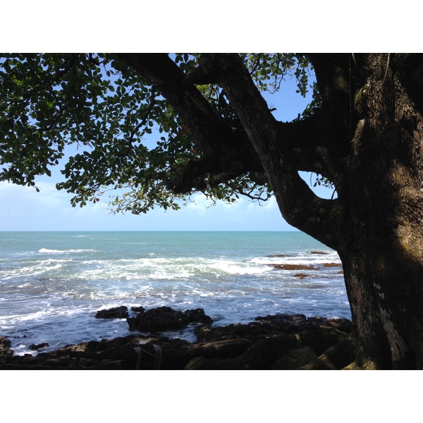 รูปถ่าย คอสตาริกา(Costa Rica) กาอุยตา(Cahuita) 2015-03 15