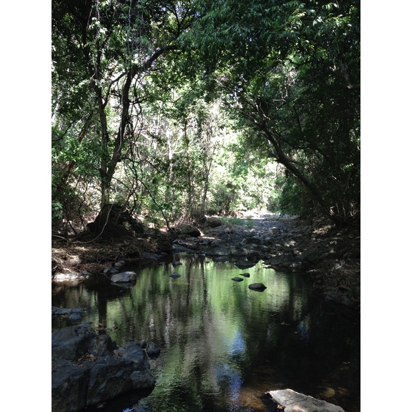 รูปถ่าย คอสตาริกา(Costa Rica) มอนเตซูมา(Montezuma) 2015-03 234