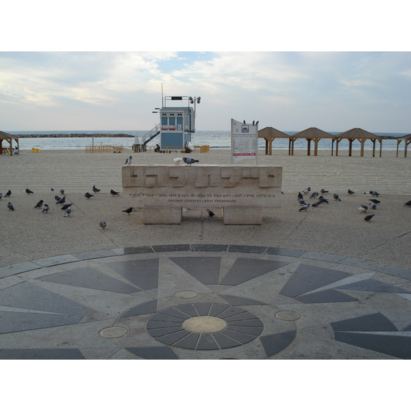 รูปถ่าย อิสราเอล(Israel) เทลอาวีฟ(Tel Aviv) ชายหาดเทลอาวีฟ(Tel Aviv Sea Shore) 2006-12 193