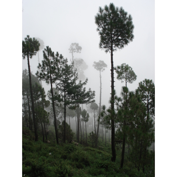 รูปถ่าย ปากีสถาน(Pakistan) มืร์รี(Murree) 2006-08 39