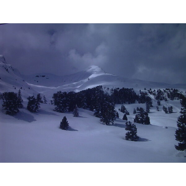 รูปถ่าย สวิสเซอร์แลนด์(Switzerland) กรินเดลวัลด์(Grindelwald) 1999-04 18