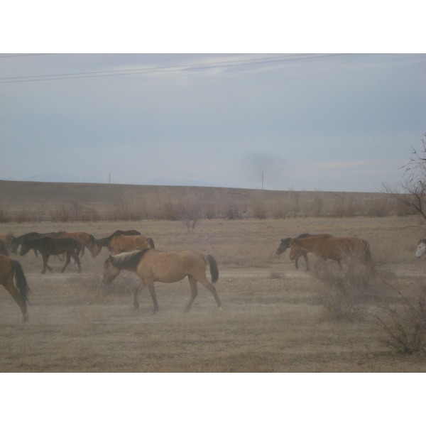รูปถ่าย คาซัคสถาน(Kazakhstan) ถนนจากอัลมาตีไปหุบผาชารึน(Almaty to Charyn Canyon road) 2007-03 91