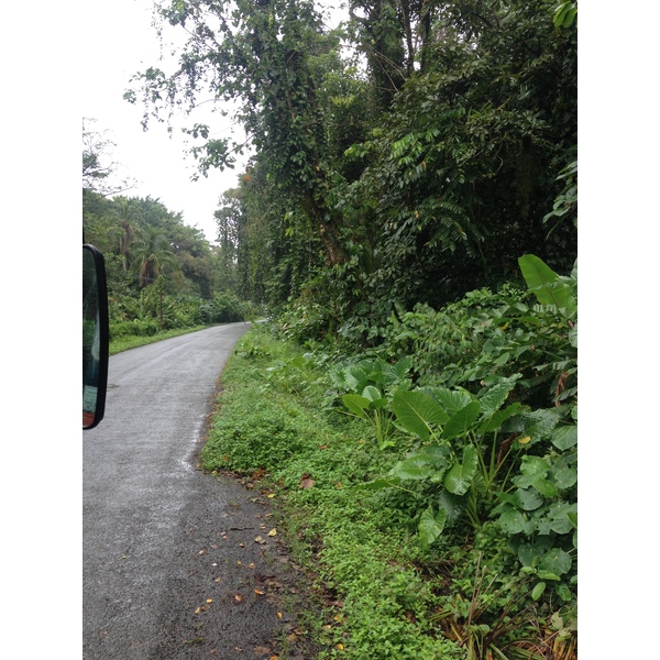 รูปถ่าย คอสตาริกา(Costa Rica) ปวยร์โตเบียโฆเดตาลามังกา(Puerto Viejo de Talamanca) 2015-03 92