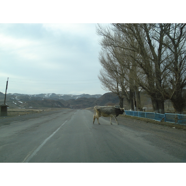 รูปถ่าย คาซัคสถาน(Kazakhstan) ถนนจากอัลมาตีไปหุบผาชารึน(Almaty to Charyn Canyon road) 2007-03 54
