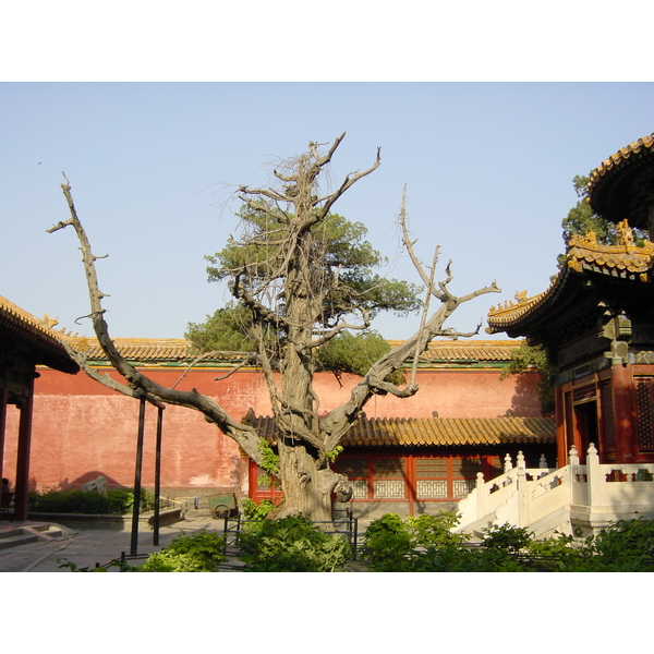 รูปถ่าย จีน(China) ปักกิ่ง(Beijing) พระราชวังต้องห้าม(Forbidden City) 2002-05 34
