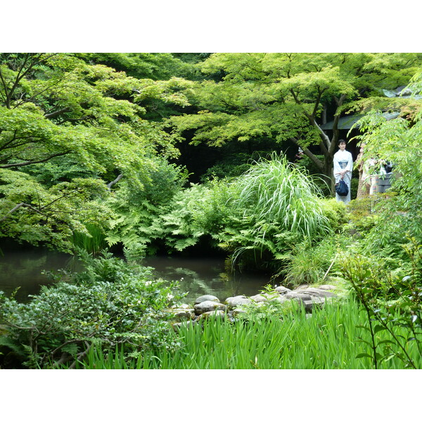รูปถ่าย ญี่ปุ่น(Japan) โตเกียว(Tokyo) พิพิธภัณฑ์เนซุ(Nezu Museum) 2010-06 87