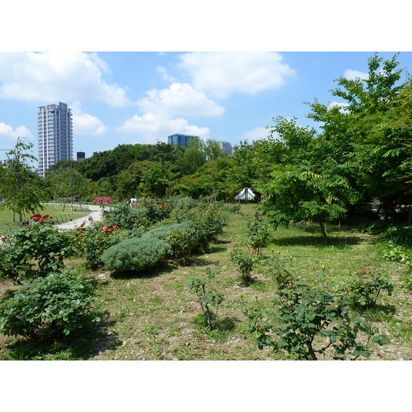 รูปถ่าย ญี่ปุ่น(Japan) โตเกียว(Tokyo) สวนชิบะ(Shiba Park) 2010-06 27