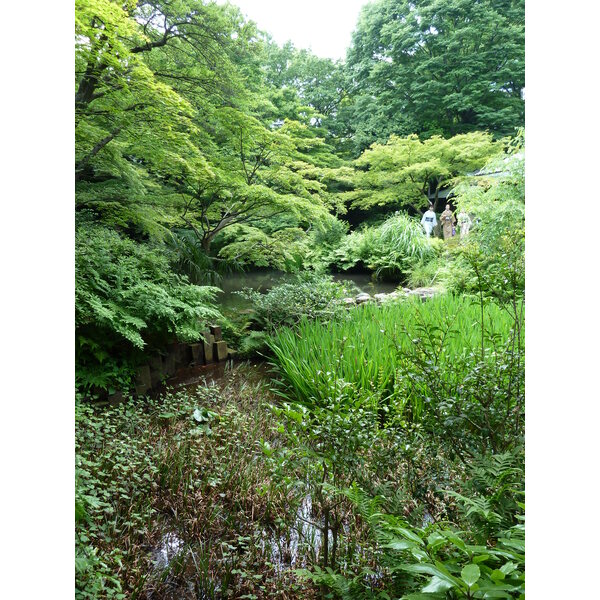 รูปถ่าย ญี่ปุ่น(Japan) โตเกียว(Tokyo) พิพิธภัณฑ์เนซุ(Nezu Museum) 2010-06 62