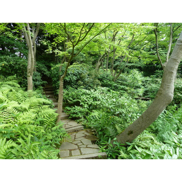 รูปถ่าย ญี่ปุ่น(Japan) โตเกียว(Tokyo) พิพิธภัณฑ์เนซุ(Nezu Museum) 2010-06 63