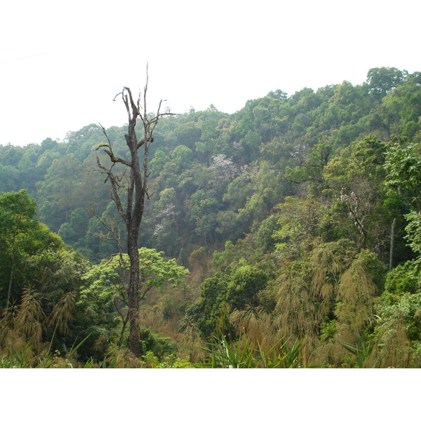 รูปถ่าย ไทย(Thailand) ถนนจากเชียงใหม่ไปปาย(Chiang Mai to Pai road) 2007-02 63