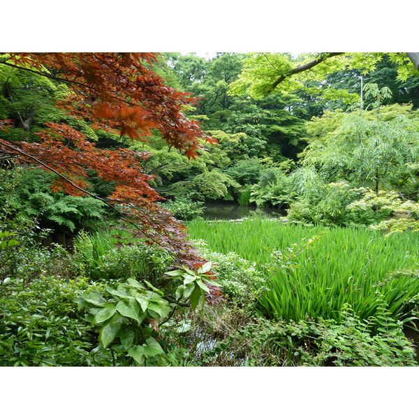 รูปถ่าย ญี่ปุ่น(Japan) โตเกียว(Tokyo) พิพิธภัณฑ์เนซุ(Nezu Museum) 2010-06 49