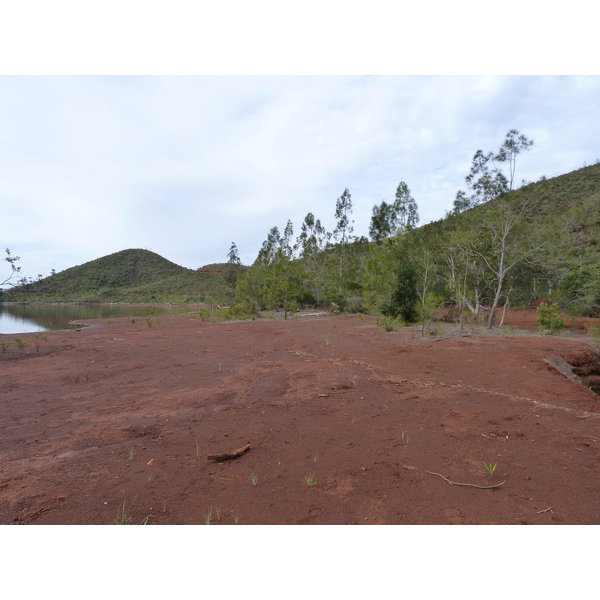 รูปถ่าย นิวแคลิโดเนีย(New Caledonia) อุทยานริเวียร์เบลอ(Parc de la Riviere Bleue) 2010-05 149