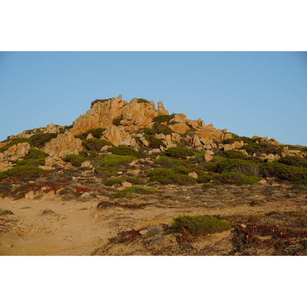 รูปถ่าย ฝรั่งเศส(France) คอร์สิคา(Corsica) หาดตอนนารา(Tonnara Beach) 2017-07 41