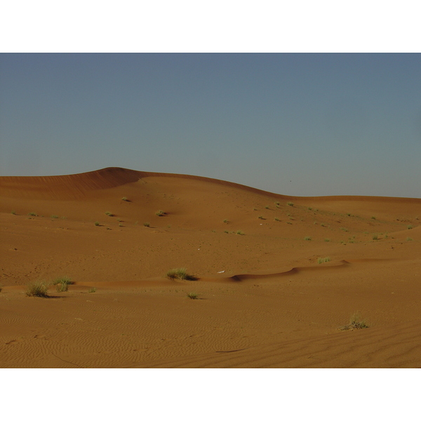 รูปถ่าย สหรัฐอาหรับเอมิเรตส์(United Arab Emirates) จากดูไบไปถนนอัลอิน(Dubai to Al Ain road) 2005-03 52