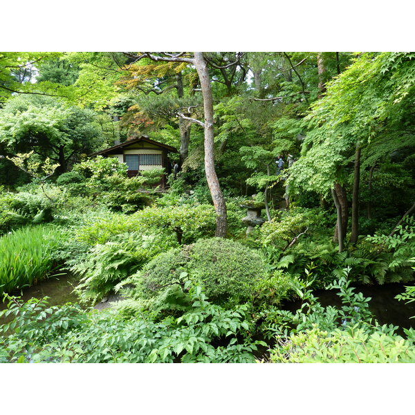 รูปถ่าย ญี่ปุ่น(Japan) โตเกียว(Tokyo) พิพิธภัณฑ์เนซุ(Nezu Museum) 2010-06 28