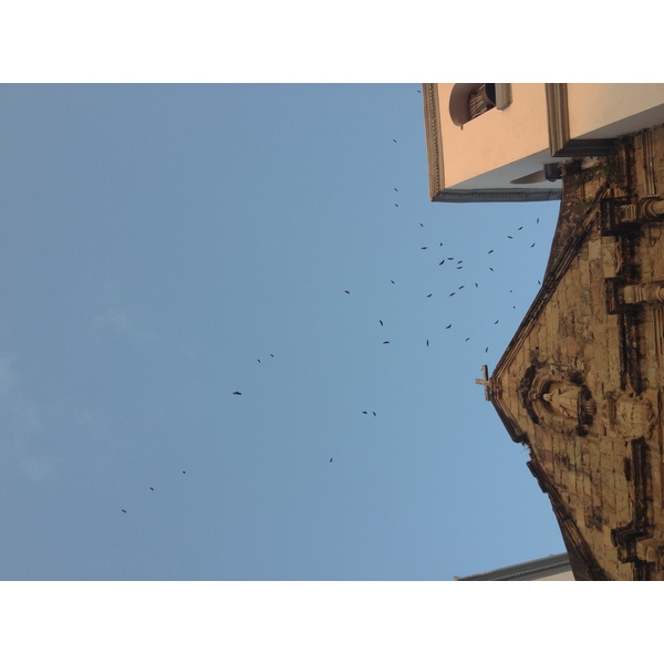 รูปถ่าย ปานามา(Panama) ปานามาซิตี(Panama City) 2015-03 308