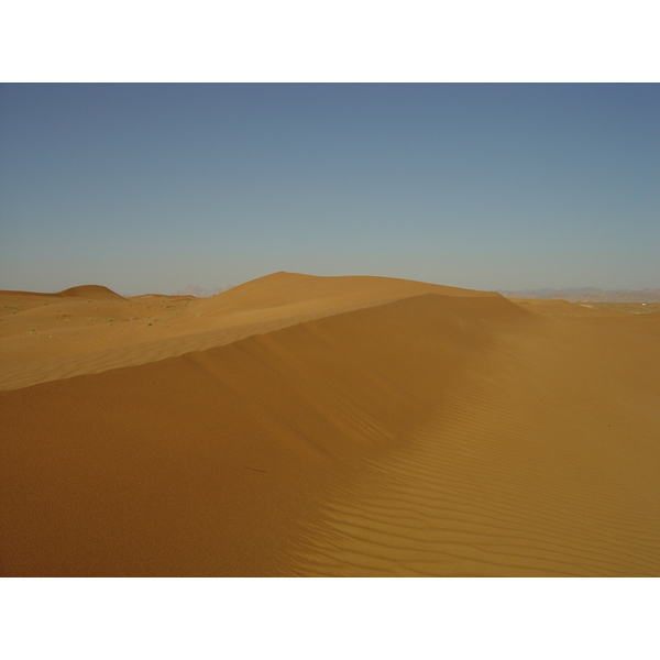 รูปถ่าย สหรัฐอาหรับเอมิเรตส์(United Arab Emirates) จากดูไบไปถนนอัลอิน(Dubai to Al Ain road) 2005-03 47