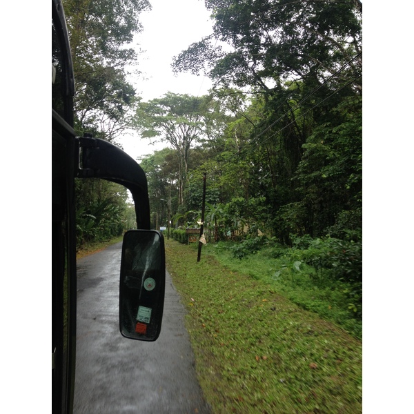 รูปถ่าย คอสตาริกา(Costa Rica) ปวยร์โตเบียโฆเดตาลามังกา(Puerto Viejo de Talamanca) 2015-03 95