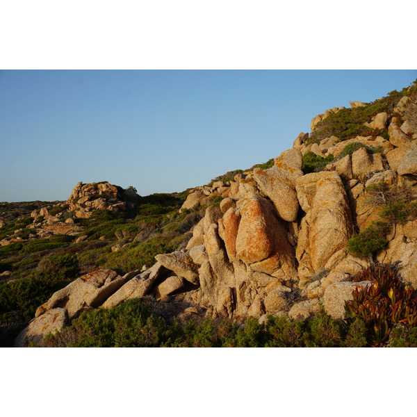 รูปถ่าย ฝรั่งเศส(France) คอร์สิคา(Corsica) หาดตอนนารา(Tonnara Beach) 2017-07 34