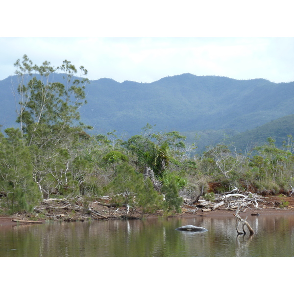 รูปถ่าย นิวแคลิโดเนีย(New Caledonia) อุทยานริเวียร์เบลอ(Parc de la Riviere Bleue) 2010-05 12
