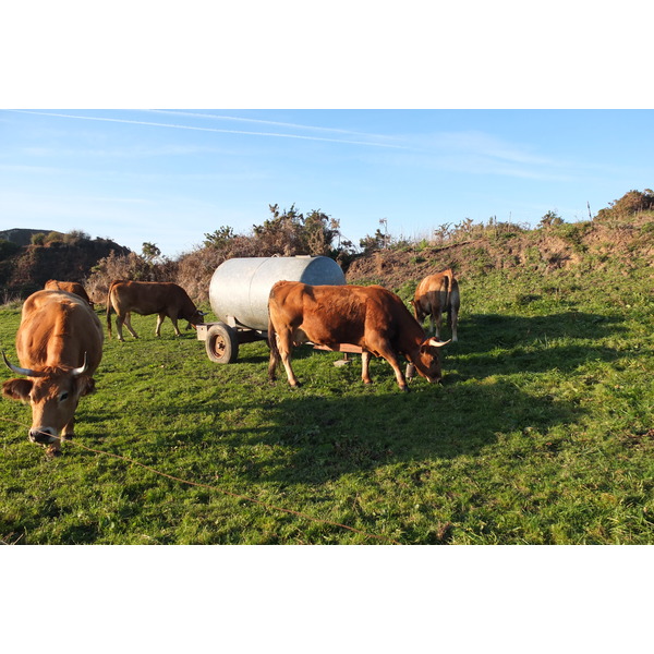 รูปถ่าย สเปน(Spain) กันตาเบรีย(Cantabria) 2013-01 0