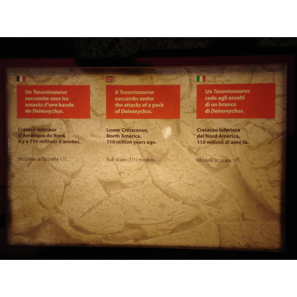 รูปถ่าย ฝรั่งเศส(France) ปารีส(Paris) ปาเลเดอลาเดกูแวร์ต(Palace of Discovery) 2006-04 44